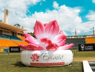 Réplica e Displays Infláveis - Flor Eximia